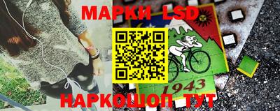 амф Ачхой-Мартан