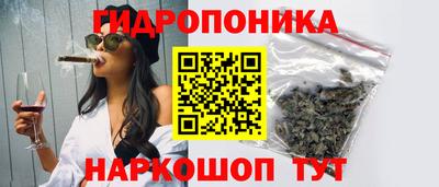 амф Ачхой-Мартан