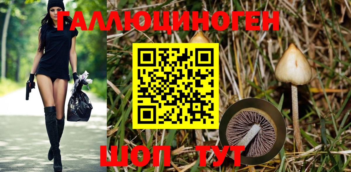 Галлюциногенные грибы MAGIC MUSHROOMS Железногорск