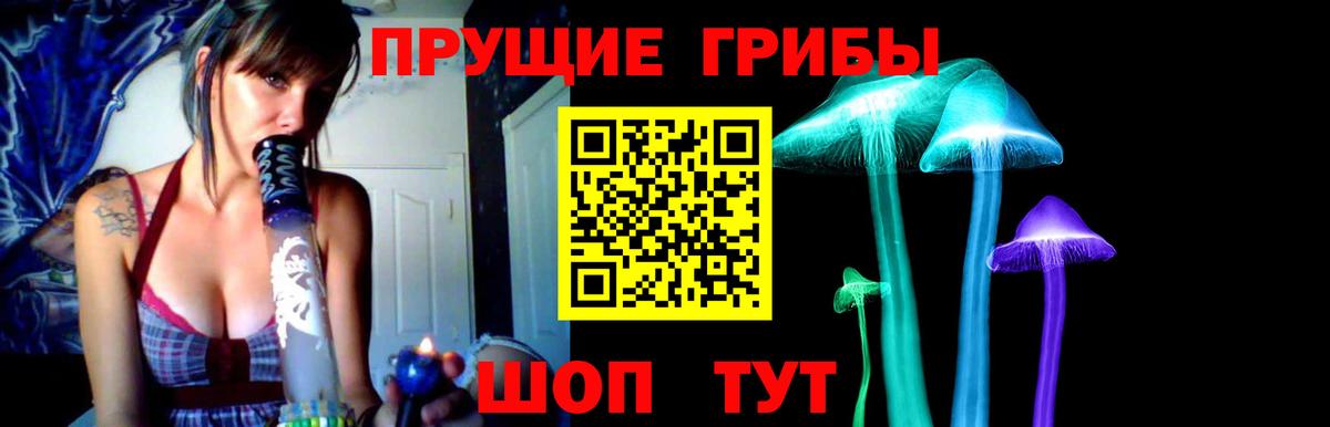 Железногорск  Галлюциногенные грибы Psilocybine cubensis  Вход с VPN 